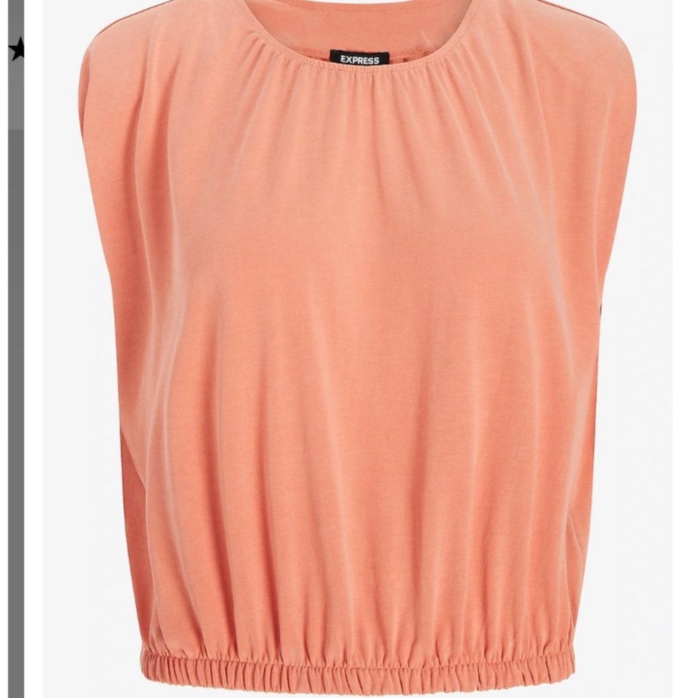 Silky Sueded Jersey Cropped Padded Shoulder Top size L color is Terra C…